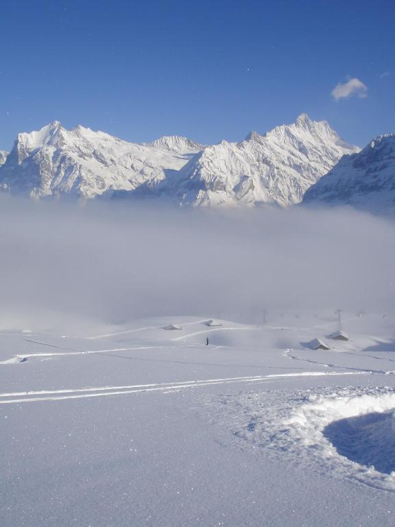 Chalet Asterix Grindelwald Eksteriør bilde