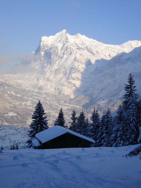 Chalet Asterix Grindelwald Eksteriør bilde