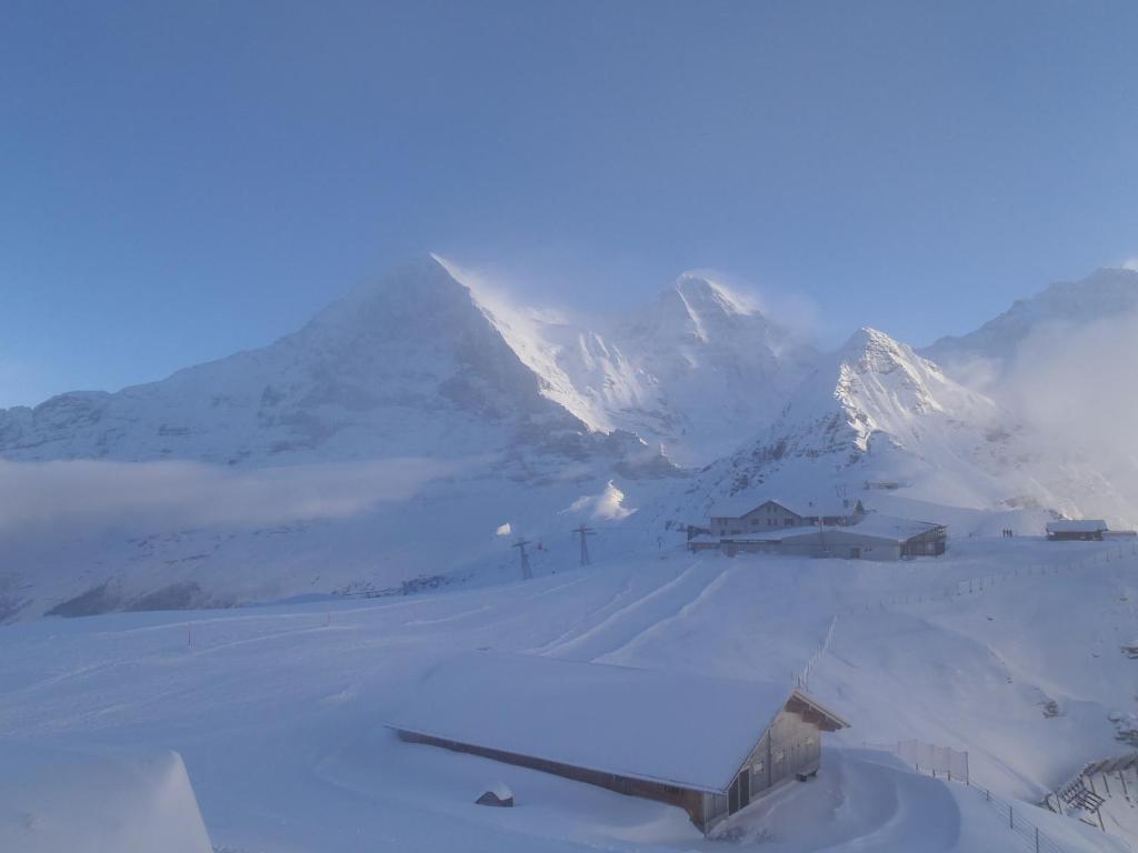 Chalet Asterix Grindelwald Eksteriør bilde