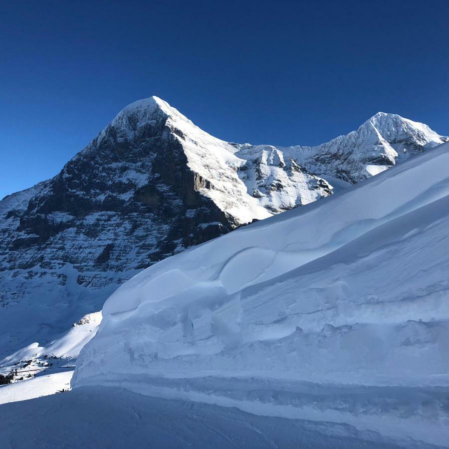 Chalet Asterix Grindelwald Eksteriør bilde